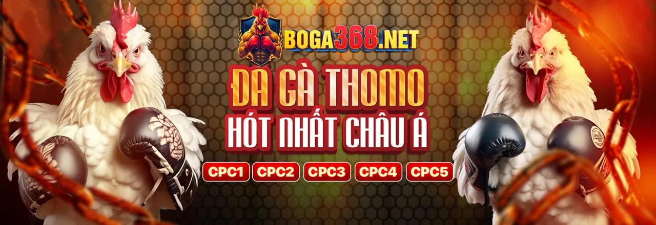 Đá Gà acb888 login